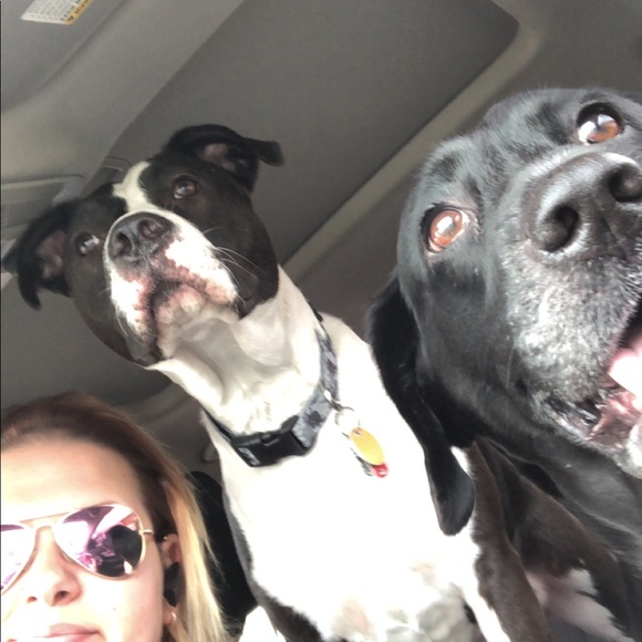 Meet your Posher, Stephanie - Picture 7 of 8